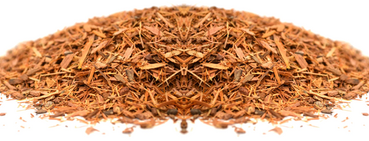 Catuaba Bark and Immune System Support: Can It Boost Your Body's Defenses?