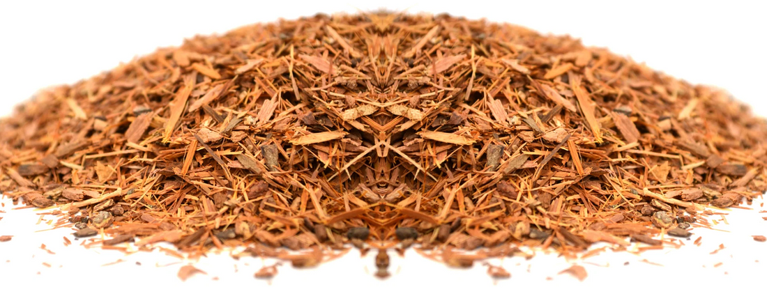 Catuaba Bark: A Natural Aphrodisiac