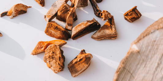 Reishi Mushroom and Mental Health: It Can Help with Anxiety and Depression